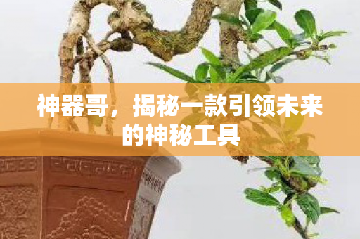 神器哥，揭秘一款引领未来的神秘工具