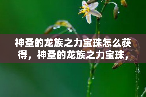 神圣的龙族之力宝珠怎么获得，神圣的龙族之力宝珠，揭示神秘力量的起源与传说