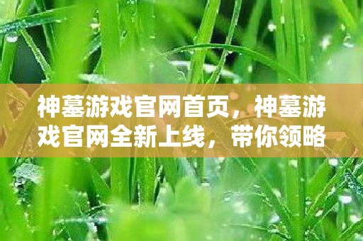 神墓游戏官网首页，神墓游戏官网全新上线，带你领略神秘世界的魅力！