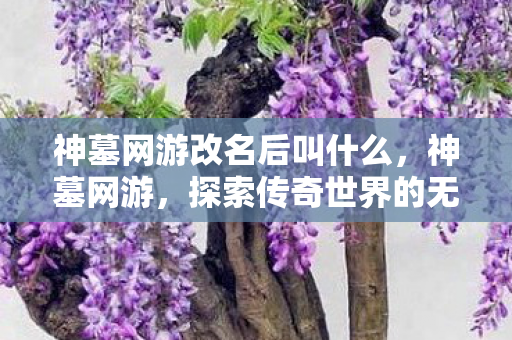 神墓网游改名后叫什么，神墓网游，探索传奇世界的无尽魅力