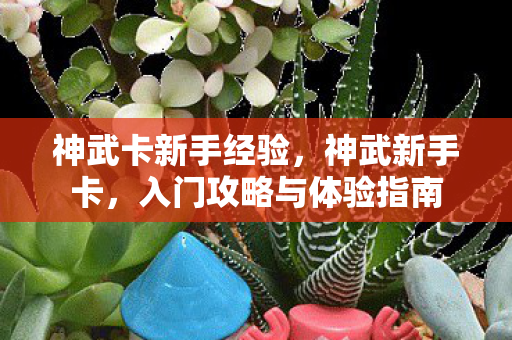 神武卡新手经验，神武新手卡，入门攻略与体验指南