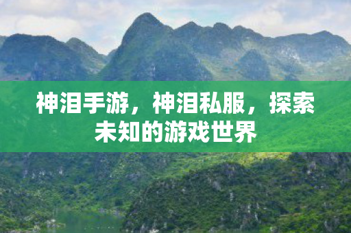 神泪手游，神泪私服，探索未知的游戏世界