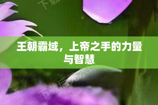 王朝霸域，上帝之手的力量与智慧