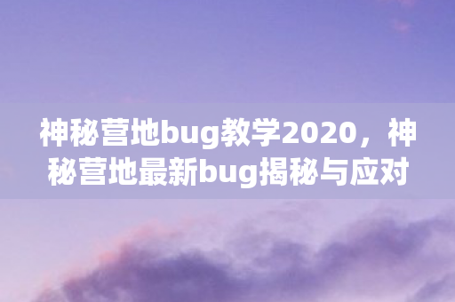 神秘营地bug教学2020，神秘营地最新bug揭秘与应对策略
