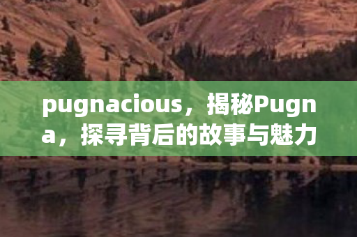 pugnacious，揭秘Pugna，探寻背后的故事与魅力