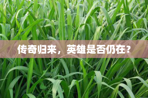 传奇归来，英雄是否仍在？