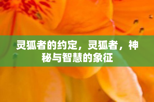 灵狐者的约定，灵狐者，神秘与智慧的象征