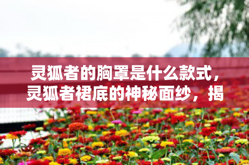 灵狐者的胸罩是什么款式，灵狐者裙底的神秘面纱，揭示背后的故事