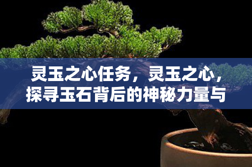 灵玉之心任务，灵玉之心，探寻玉石背后的神秘力量与人性之美