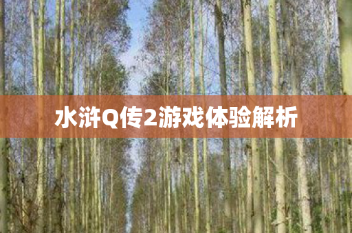 水浒Q传2游戏体验解析