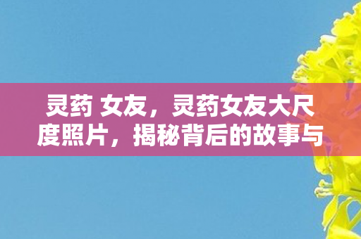 灵药 女友，灵药女友大尺度照片，揭秘背后的故事与争议