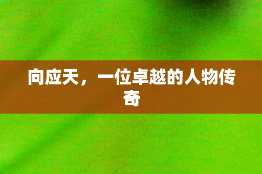 向应天，一位卓越的人物传奇