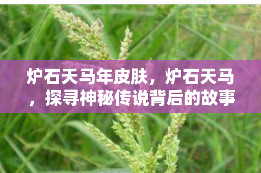 炉石天马年皮肤，炉石天马，探寻神秘传说背后的故事