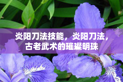 炎阳刀法技能，炎阳刀法，古老武术的璀璨明珠