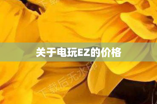 关于电玩EZ的价格 关于电玩EZ的价格