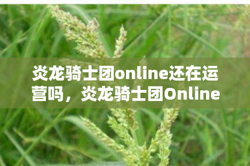 炎龙骑士团online还在运营吗，炎龙骑士团Online，探索无尽的冒险之旅