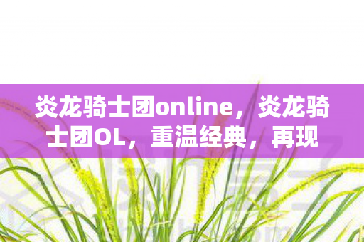 炎龙骑士团online，炎龙骑士团OL，重温经典，再现荣耀