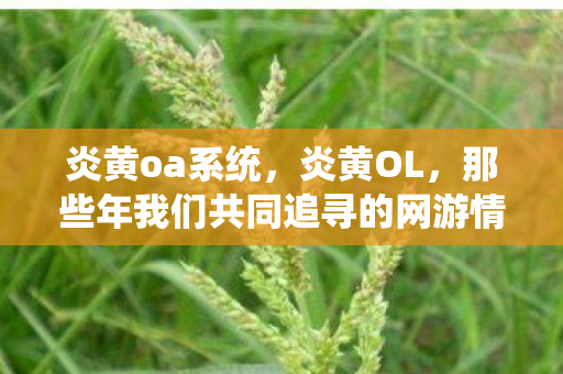炎黄oa系统，炎黄OL，那些年我们共同追寻的网游情怀