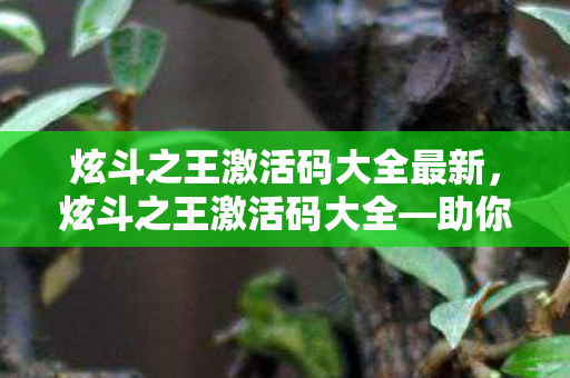 炫斗之王激活码大全最新，炫斗之王激活码大全—助你轻松开启游戏之旅