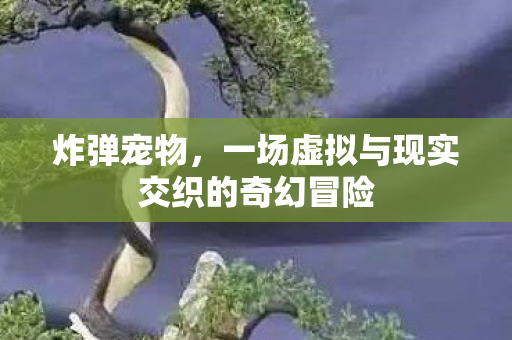 炸弹宠物，一场虚拟与现实交织的奇幻冒险