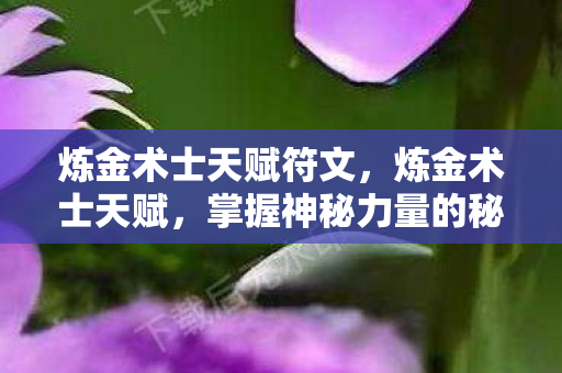 炼金术士天赋符文，炼金术士天赋，掌握神秘力量的秘密