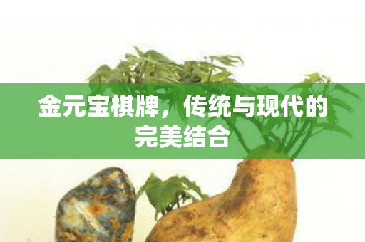 金元宝棋牌，传统与现代的完美结合