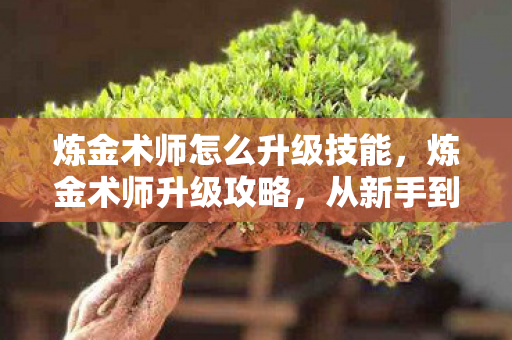 炼金术师怎么升级技能，炼金术师升级攻略，从新手到专家，一步步带你飞