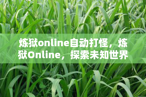炼狱online自动打怪，炼狱Online，探索未知世界的无尽挑战