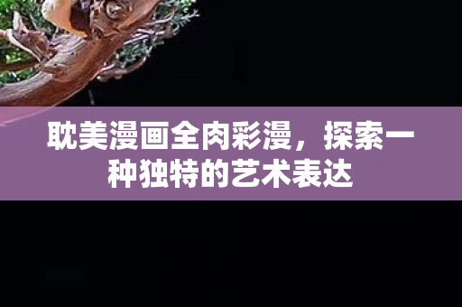 耽美漫画全肉彩漫，探索一种独特的艺术表达