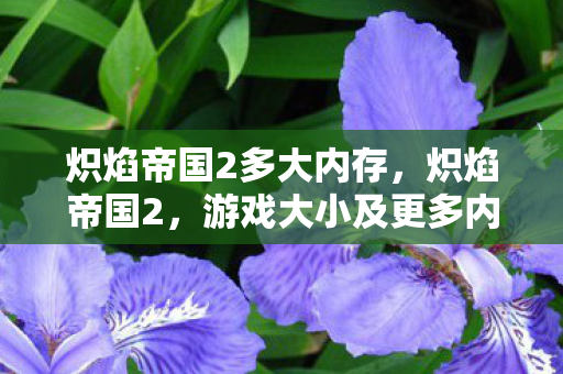 炽焰帝国2多大内存，炽焰帝国2，游戏大小及更多内容深度解析