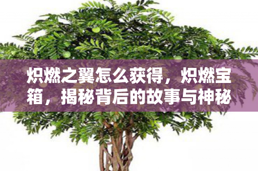 炽燃之翼怎么获得，炽燃宝箱，揭秘背后的故事与神秘力量