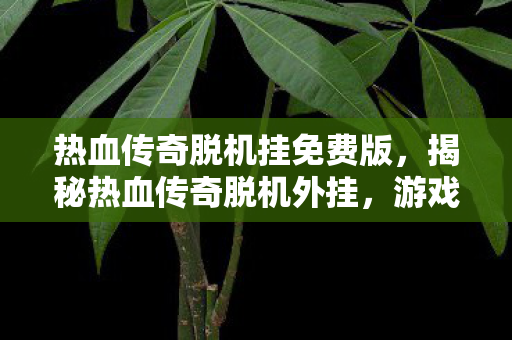 热血传奇脱机挂免费版，揭秘热血传奇脱机外挂，游戏世界的双刃剑现象