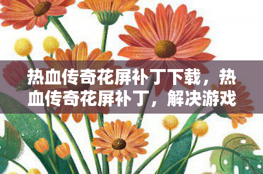热血传奇花屏补丁下载，热血传奇花屏补丁，解决游戏画质问题，畅享无界游戏乐趣
