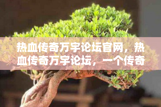 热血传奇万宇论坛官网，热血传奇万宇论坛，一个传奇玩家的聚集地