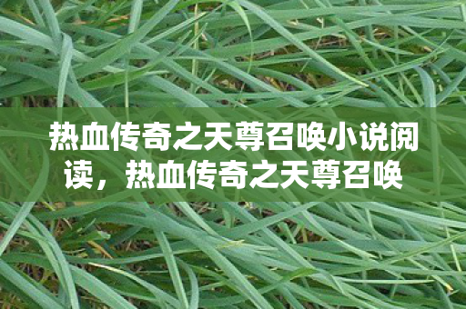 热血传奇之天尊召唤小说阅读，热血传奇之天尊召唤