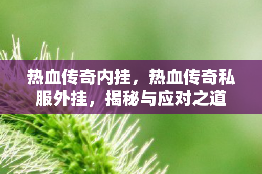 热血传奇内挂，热血传奇私服外挂，揭秘与应对之道