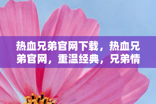 热血兄弟官网下载，热血兄弟官网，重温经典，兄弟情深