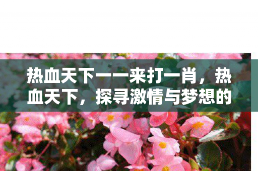 热血天下一一来打一肖，热血天下，探寻激情与梦想的无限可能