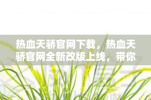 热血天骄官网下载，热血天骄官网全新改版上线，带你领略不一样的游戏世界
