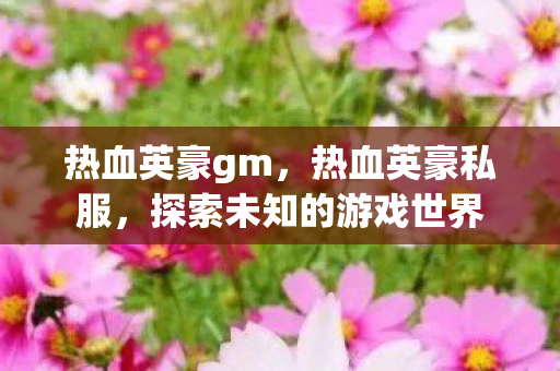 热血英豪gm，热血英豪私服，探索未知的游戏世界