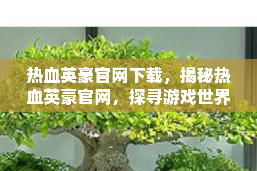 热血英豪官网下载，揭秘热血英豪官网，探寻游戏世界的无尽魅力