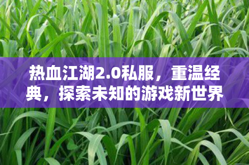 热血江湖2.0私服，重温经典，探索未知的游戏新世界