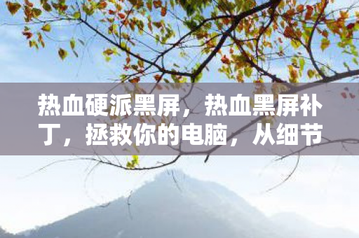 热血硬派黑屏，热血黑屏补丁，拯救你的电脑，从细节开始