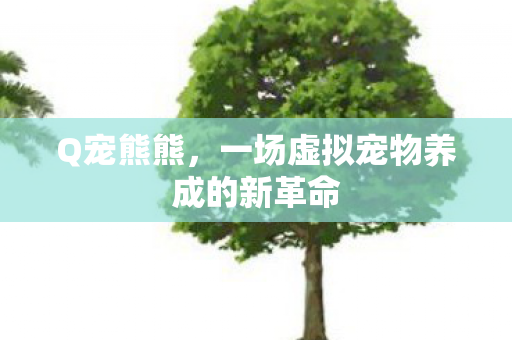 Q宠熊熊，一场虚拟宠物养成的新革命