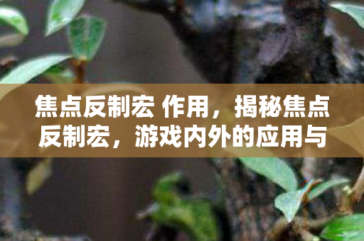 焦点反制宏 作用，揭秘焦点反制宏，游戏内外的应用与影响