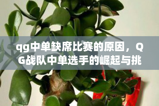 qg中单缺席比赛的原因，QG战队中单选手的崛起与挑战