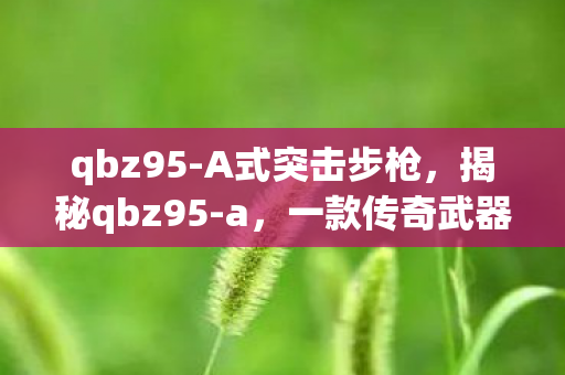 qbz95-A式突击步枪,揭秘qbz95-a,一款传奇武器的背后故事 qbz95-A式突击步枪,揭秘qbz95-a,一款传奇武器的背后故事