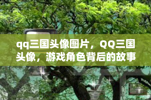 qq三国头像图片，QQ三国头像，游戏角色背后的故事与情感表达