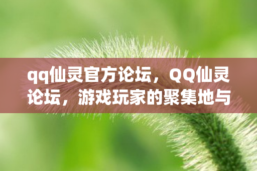 qq仙灵官方论坛，QQ仙灵论坛，游戏玩家的聚集地与交流平台