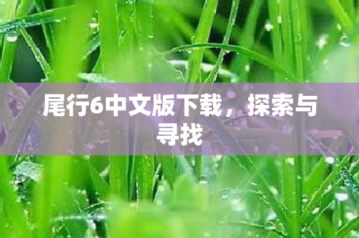 尾行6中文版下载，探索与寻找